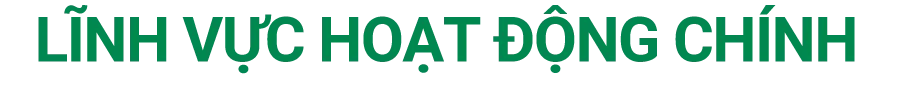 Title .Linh vuc hoat dong chinh
